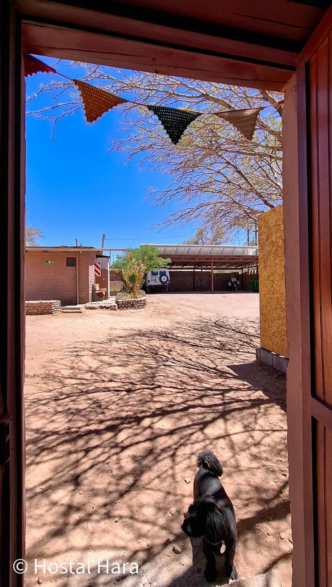 Hostal Hara San Pedro de Atacama Exterior foto